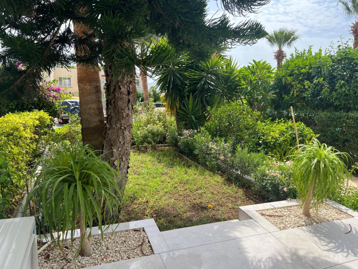 Modern Seaview Townhouse In Coral Bay (Adults Only) Lägenhet Pégeia Exteriör bild