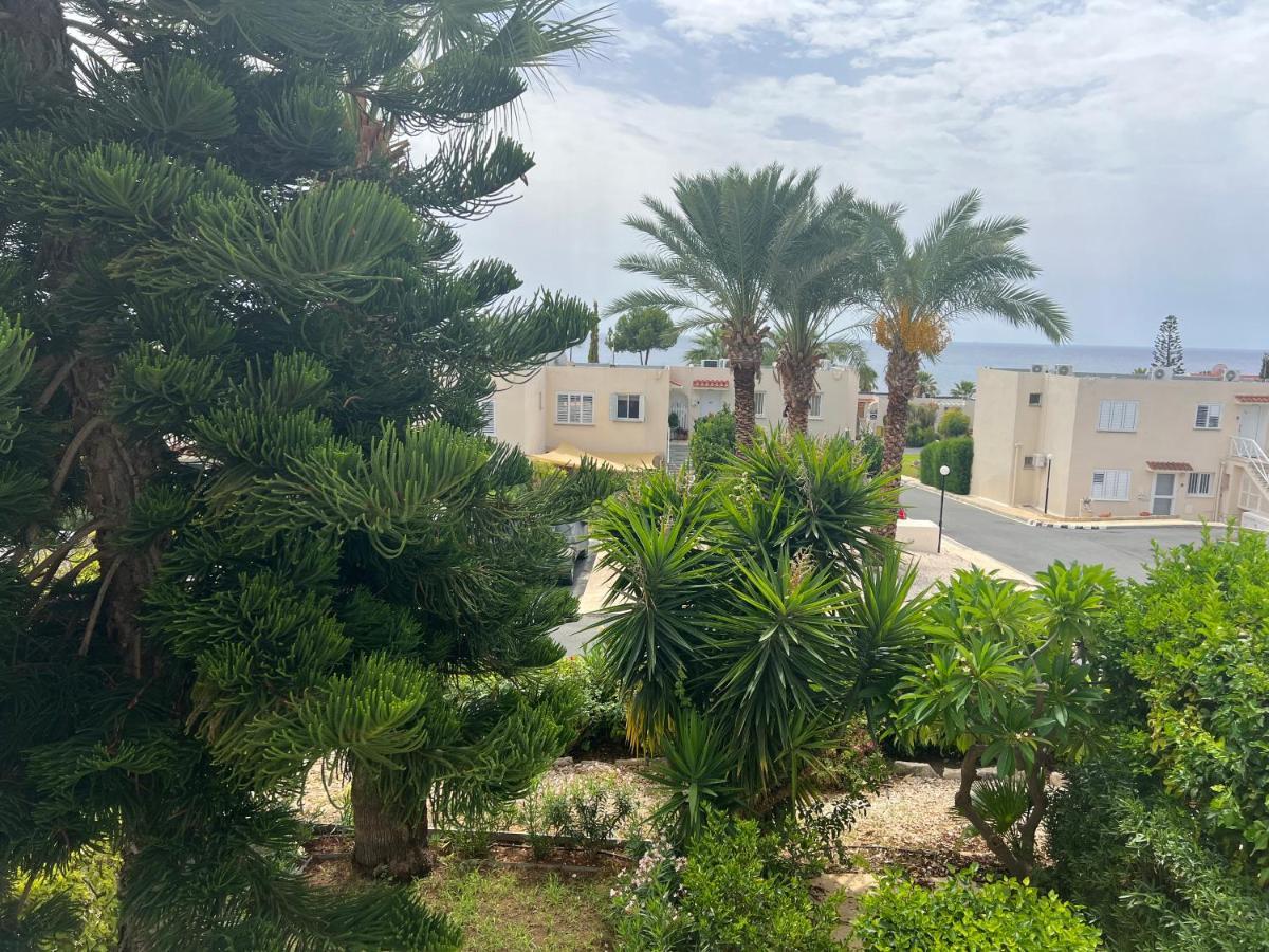 Modern Seaview Townhouse In Coral Bay (Adults Only) Lägenhet Pégeia Exteriör bild