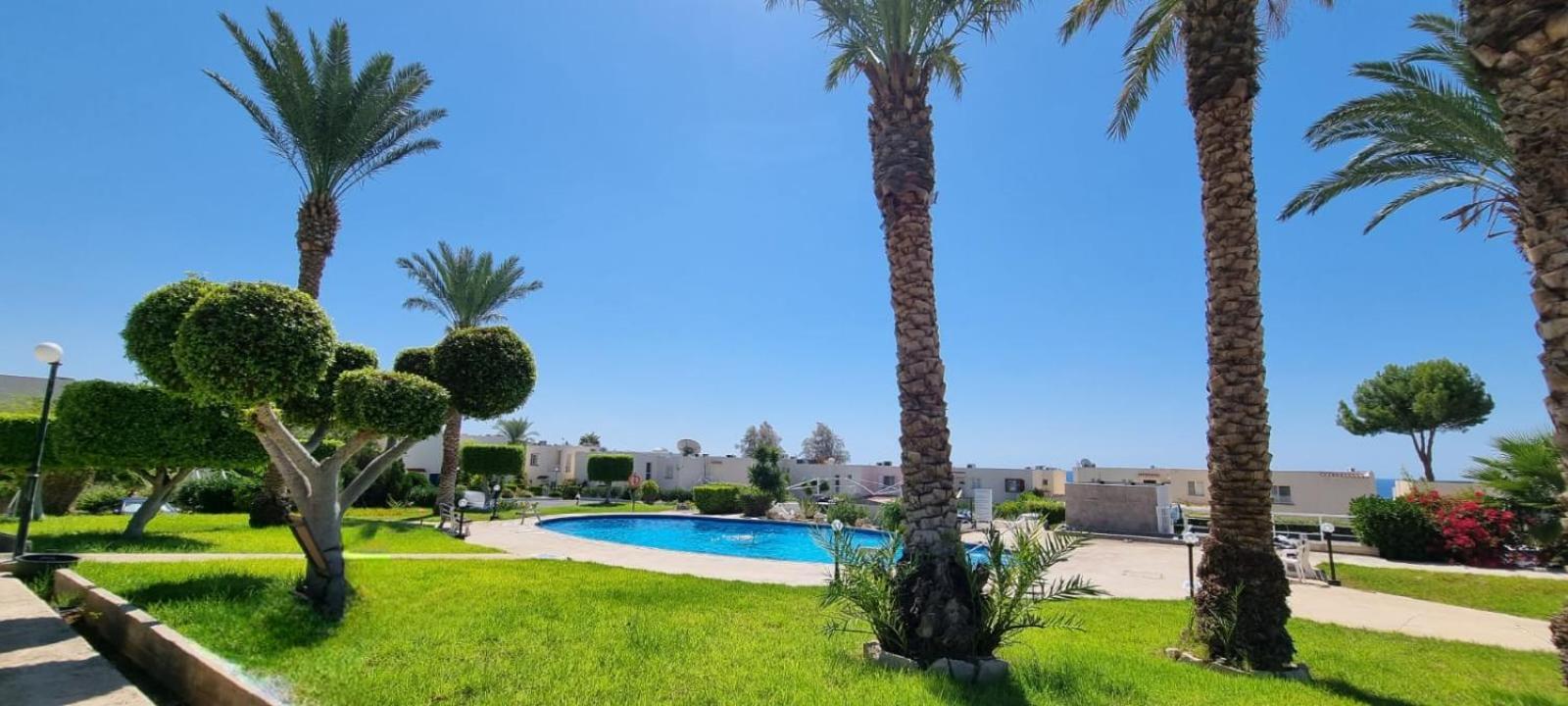 Modern Seaview Townhouse In Coral Bay (Adults Only) Lägenhet Pégeia Exteriör bild